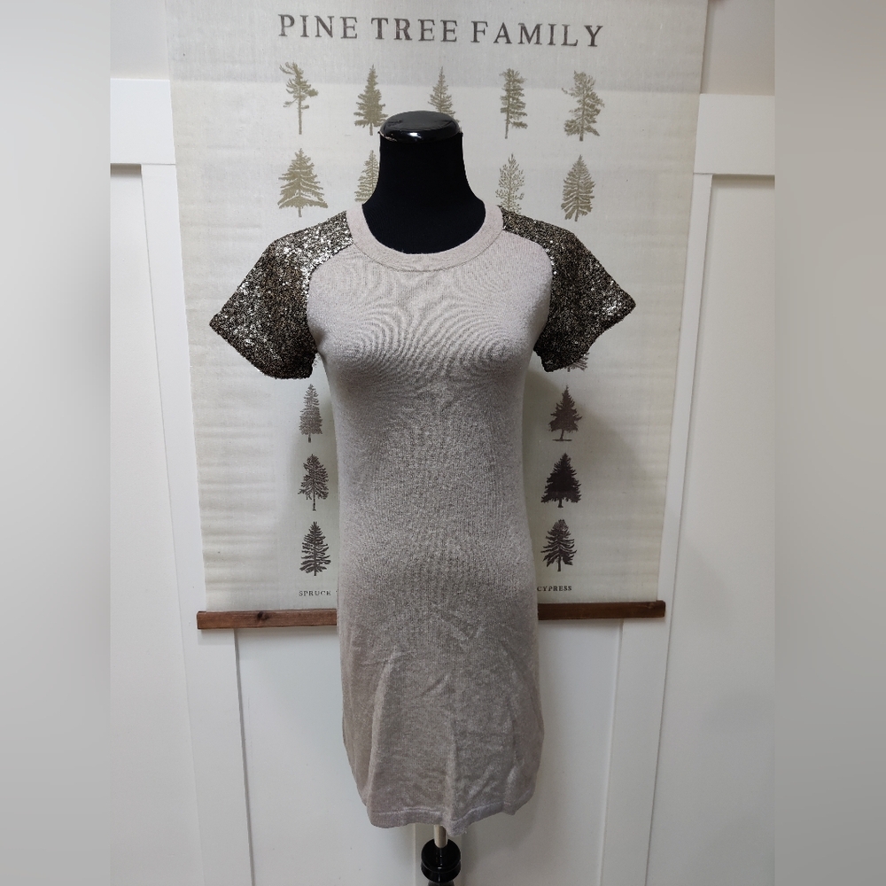 Kenar Cashmere Lambswool Blend Sequin Sleeve Sweater Dress Beige XS
